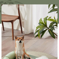HKM-3204797 Cool Feeling Pet Bed - Four Seasons Universal Cat and Dog Nest in Green Bamboo Panda Design