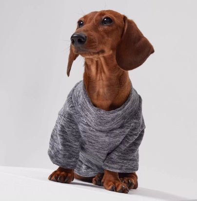 HKM-3205309 Polar Velvet Padded Dog Shirt for Medium and Large Pets in Gray, Blue, and Purple Sizes XS to 6XL