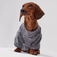 HKM-3205309 Polar Velvet Padded Dog Shirt for Medium and Large Pets in Gray, Blue, and Purple Sizes XS to 6XL