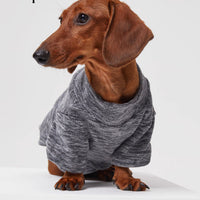 HKM-3205309 Polar Velvet Padded Dog Shirt for Medium and Large Pets in Gray, Blue, and Purple Sizes XS to 6XL