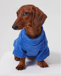 HKM-3205309 Polar Velvet Padded Dog Shirt for Medium and Large Pets in Gray, Blue, and Purple Sizes XS to 6XL