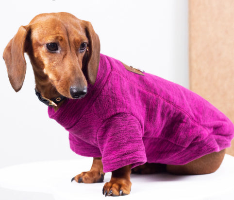 HKM-3205309 Polar Velvet Padded Dog Shirt for Medium and Large Pets in Gray, Blue, and Purple Sizes XS to 6XL