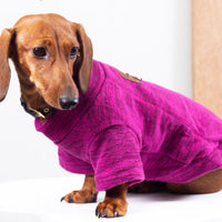 HKM-3205309 Polar Velvet Padded Dog Shirt for Medium and Large Pets in Gray, Blue, and Purple Sizes XS to 6XL