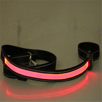 HKM-3223997 Solar and USB Rechargeable LED Dog Collar - Adjustable Nylon Pet Collar with Bright, Soft Light