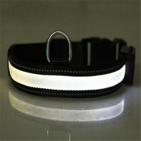 HKM-3223997 Solar and USB Rechargeable LED Dog Collar - Adjustable Nylon Pet Collar with Bright, Soft Light