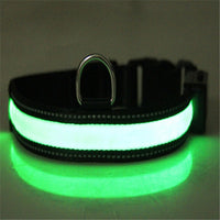 HKM-3223997 Solar and USB Rechargeable LED Dog Collar - Adjustable Nylon Pet Collar with Bright, Soft Light