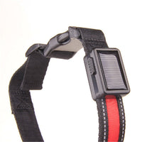 HKM-3223997 Solar and USB Rechargeable LED Dog Collar - Adjustable Nylon Pet Collar with Bright, Soft Light