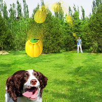 HKM-3235005 Squeaky Dog Training Ball - Puppy Chew Toy for Dental Care and Teething - Halloween Pumpkin Design