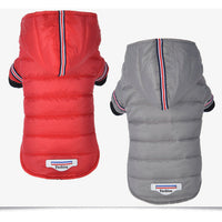 HKM-3237693 Autumn Cotton Clothing for Dogs and Cats with Size Options