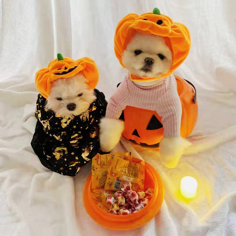 HKM-3238333 Fashionable Orange Pumpkin Hat for Cats and Dogs - Velvet Material, Sizes S & L Available
