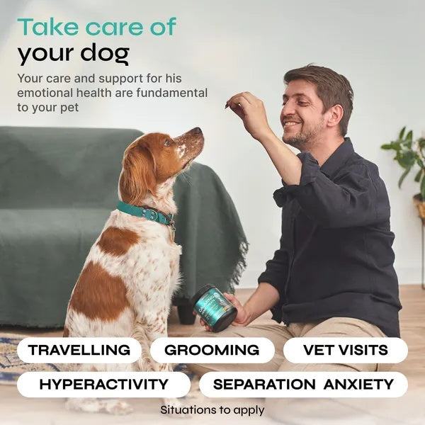 HKM-3239357 Hemp Calming Chews for Dogs - Duck Flavor Soft Treats for Anxiety Relief and Stress Management