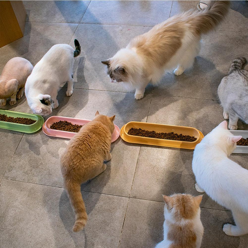 HKM-3240765 Leakproof Pet Food and Water Feeder for Dogs and Cats – Ideal for Kittens and Puppies