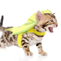 HKM-3243453 Halloween Pet Dinosaur Wings Costume for Cats and Dogs - Green Felt, Free Size