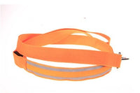 HKM-3248829 LED Fiber Optic Reflective Dog Leash with Manual Control for Day and Night Safety