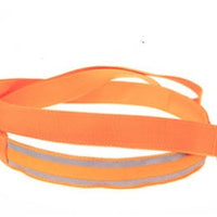 HKM-3248829 LED Fiber Optic Reflective Dog Leash with Manual Control for Day and Night Safety