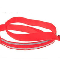 HKM-3248829 LED Fiber Optic Reflective Dog Leash with Manual Control for Day and Night Safety