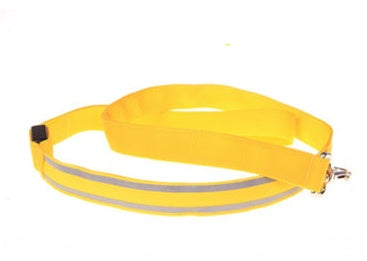 HKM-3248829 LED Fiber Optic Reflective Dog Leash with Manual Control for Day and Night Safety