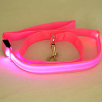 HKM-3248829 LED Fiber Optic Reflective Dog Leash with Manual Control for Day and Night Safety