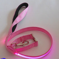 HKM-3248829 LED Fiber Optic Reflective Dog Leash with Manual Control for Day and Night Safety