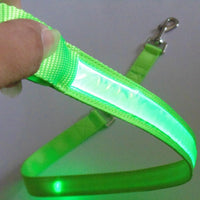 HKM-3248829 LED Fiber Optic Reflective Dog Leash with Manual Control for Day and Night Safety