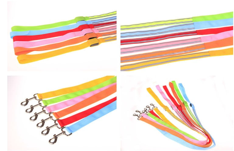 HKM-3248829 LED Fiber Optic Reflective Dog Leash with Manual Control for Day and Night Safety
