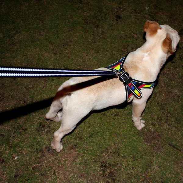 HKM-3254077 Colorful Reflective Oxford Fabric Pet Harness with Leash - Available in Camouflage, Neon, Black Line, and Color Corrugated Designs