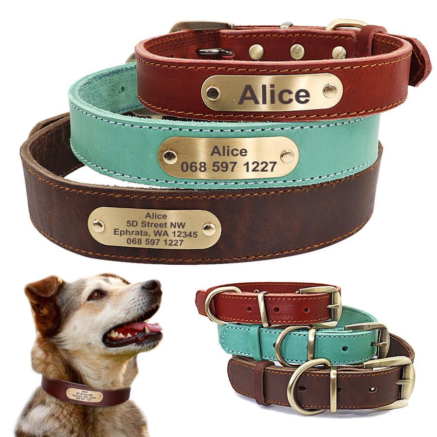 HKM-325715 Personalized Leather Dog Collar with Engraved Golden Nameplate for Medium to Large Breeds