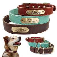 HKM-325715 Personalized Leather Dog Collar with Engraved Golden Nameplate for Medium to Large Breeds