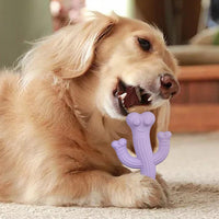 HKM-3258045 Ultra Durable Cactus Dog Chew Toy for Puppies, Medium & Large Dogs - Interactive and Nearly Indestructible Design