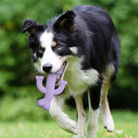 HKM-3258045 Ultra Durable Cactus Dog Chew Toy for Puppies, Medium & Large Dogs - Interactive and Nearly Indestructible Design