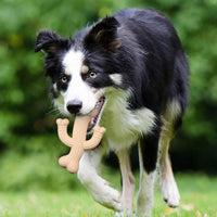 HKM-3258045 Ultra Durable Cactus Dog Chew Toy for Puppies, Medium & Large Dogs - Interactive and Nearly Indestructible Design