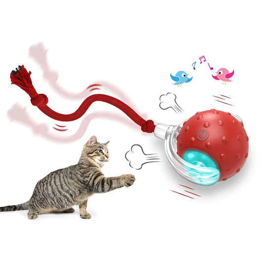 HKM-325843 Automatic Interactive Cat Toy Ball with Fast Rolling and Chirping for Indoor Play