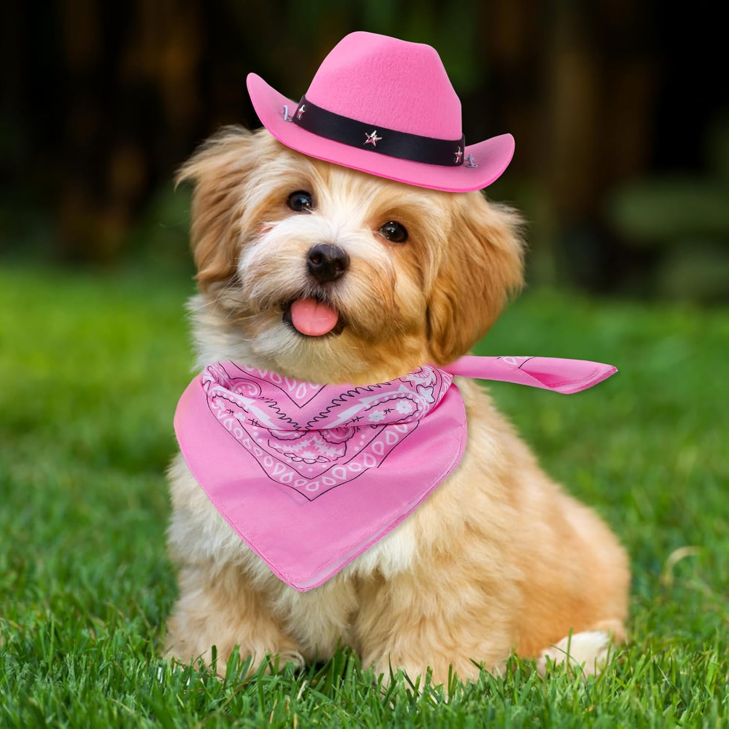 HKM-3264701 Pet Cowboy Costume Set with Hat and Bandana for Cats and Kittens, Ideal for Halloween and Cosplay Events