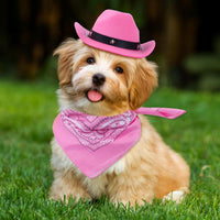 HKM-3264701 Pet Cowboy Costume Set with Hat and Bandana for Cats and Kittens, Ideal for Halloween and Cosplay Events