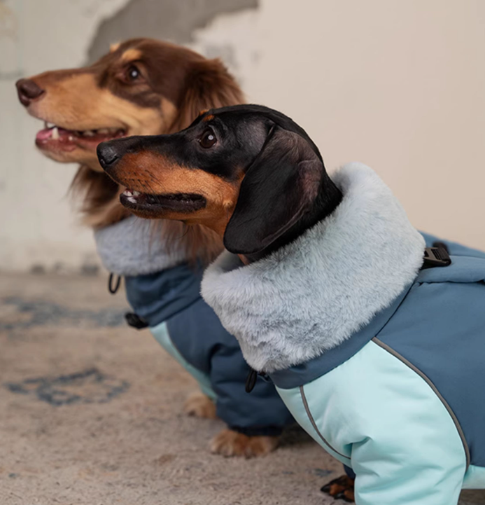 HKM-3270845 Warm Lambswool Cotton-Padded Jacket for Dogs - Autumn and Winter Four-Leg Design