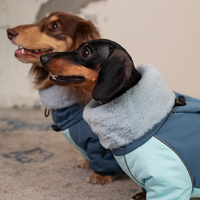 HKM-3270845 Warm Lambswool Cotton-Padded Jacket for Dogs - Autumn and Winter Four-Leg Design