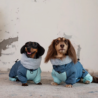 HKM-3270845 Warm Lambswool Cotton-Padded Jacket for Dogs - Autumn and Winter Four-Leg Design