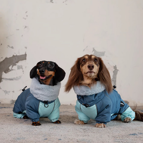 HKM-3270845 Warm Lambswool Cotton-Padded Jacket for Dogs - Autumn and Winter Four-Leg Design