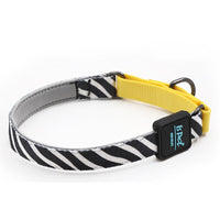 HKM-3274045 Durable Nylon Dog Collar in Vibrant Colors for Small to Large Pets