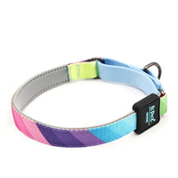HKM-3274045 Durable Nylon Dog Collar in Vibrant Colors for Small to Large Pets