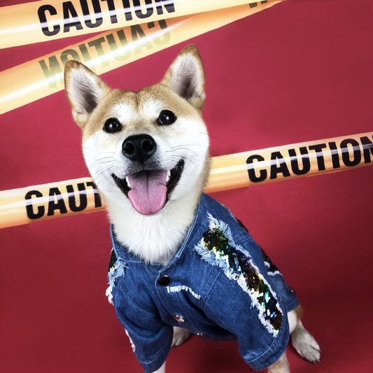 HKM-3274429 Sequin Denim Dog Jacket in Black and Blue for Small, Medium, and Large Dogs