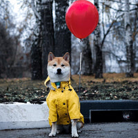 HKM-3279421 Padded Waterproof Dog Raincoat with Retro British Style in Yellow