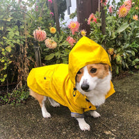 HKM-3279421 Padded Waterproof Dog Raincoat with Retro British Style in Yellow