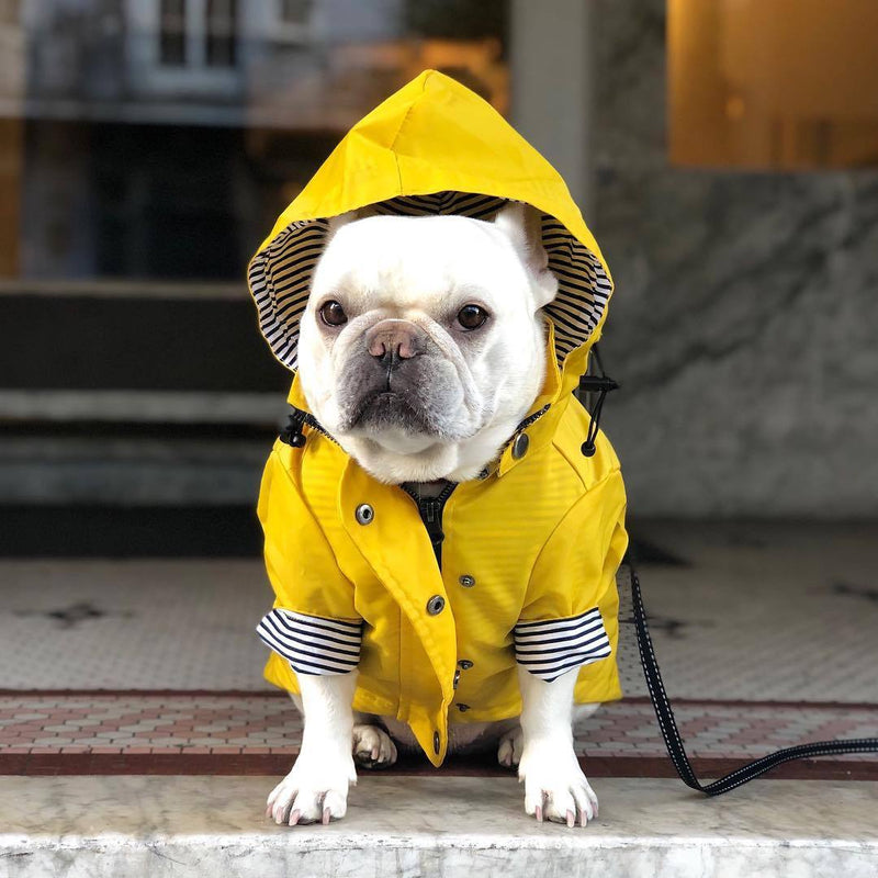 HKM-3279421 Padded Waterproof Dog Raincoat with Retro British Style in Yellow