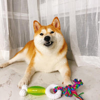HKM-3282621 Interactive Double Knot Barbed Molar Rope Toy for Shiba Inu - 28cm