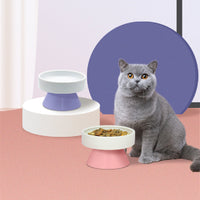 HKM-3287741 Ceramic Elevated Cat Water Bowl with Wide Mouth Design