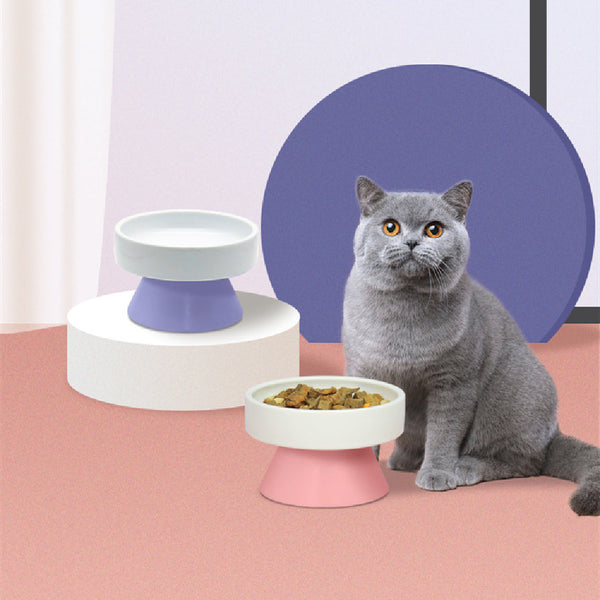 HKM-3287741 Ceramic Elevated Cat Water Bowl with Wide Mouth Design