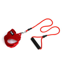 HKM-3301053 Adjustable Dog Leash and Collar Set ¨C Mesh, Nylon, Foam ¨C Round Rope Strap ¨C Fits Bust 35-50cm ¨C Ideal for Pets 4-10kg