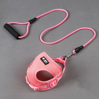 HKM-3301053 Adjustable Dog Leash and Collar Set ¨C Mesh, Nylon, Foam ¨C Round Rope Strap ¨C Fits Bust 35-50cm ¨C Ideal for Pets 4-10kg
