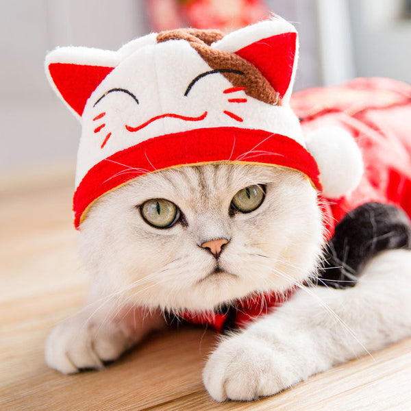 HKM-3303869 Cartoon Shaker Velvet Cat Dress Up Hat for Pets, Adjustable for 0-20 kg Cats